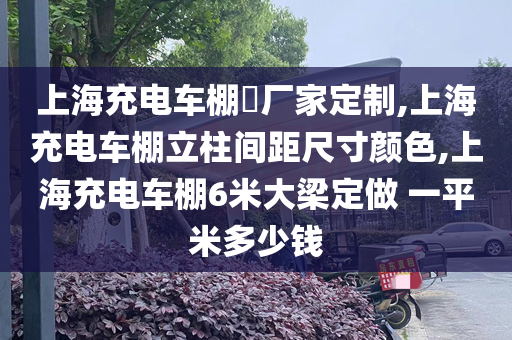 上海充电车棚​厂家定制,上海充电车棚立柱间距尺寸颜色,上海充电车棚6米大梁定做 一平米多少钱