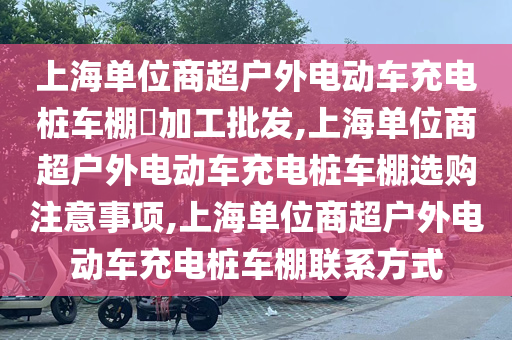 上海单位商超户外电动车充电桩车棚​加工批发,上海单位商超户外电动车充电桩车棚选购注意事项,上海单位商超户外电动车充电桩车棚联系方式