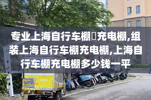 专业上海自行车棚​充电棚,组装上海自行车棚充电棚,上海自行车棚充电棚多少钱一平