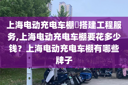 上海电动充电车棚​搭建工程服务,上海电动充电车棚要花多少钱？上海电动充电车棚有哪些牌子