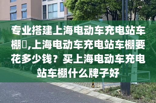 专业搭建上海电动车充电站车棚​,上海电动车充电站车棚要花多少钱？买上海电动车充电站车棚什么牌子好