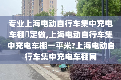 专业上海电动自行车集中充电车棚​定做,上海电动自行车集中充电车棚一平米?上海电动自行车集中充电车棚网